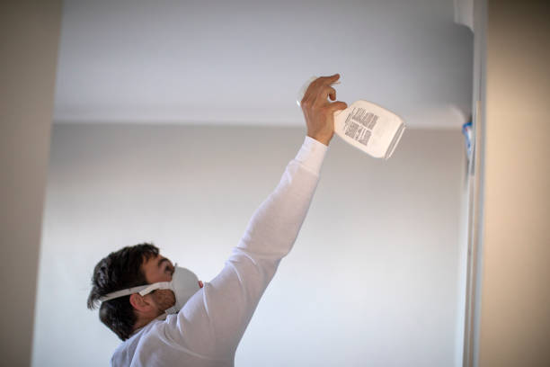 Professional Mold Remediation in Horn Lake, MS