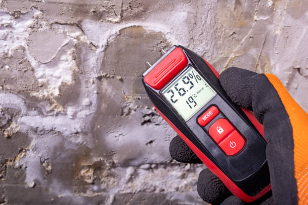 Best Preventive Mold Services in Horn Lake, MS